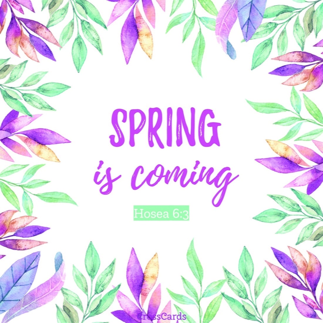 Free Printable Christian Cards Online Free Printable