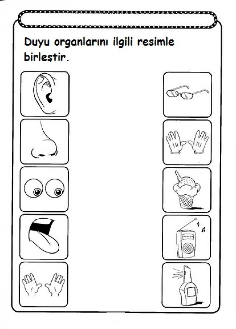 Five Senses Worksheet For Kids | Crafts And Worksheets For Preschool - Free Printable Worksheets Kindergarten Five Senses