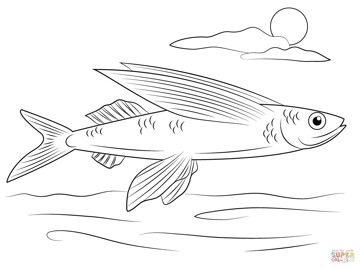 Flying Fish Coloring Page | Free Printable Coloring Pages - Free Printable Fish Coloring Pages