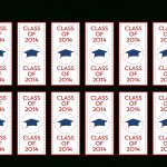 Free 2014 Graduation Party Printables From Printabelle | Catch My Party   Free Printable Mini Candy Wrapper Template