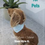 Free Dog Bandana Pattern Diy: For All Sizes! | Crafty | Sewing   Free Printable Sewing Patterns For Dog Clothes
