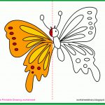 Free Drawing Worksheets Printable: Butterfly Drawing Worksheets   Free Printable Butterfly Worksheets