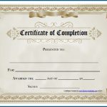 Free Editable Printable Certificate Of Completion #253   Free Printable Certificate Of Completion
