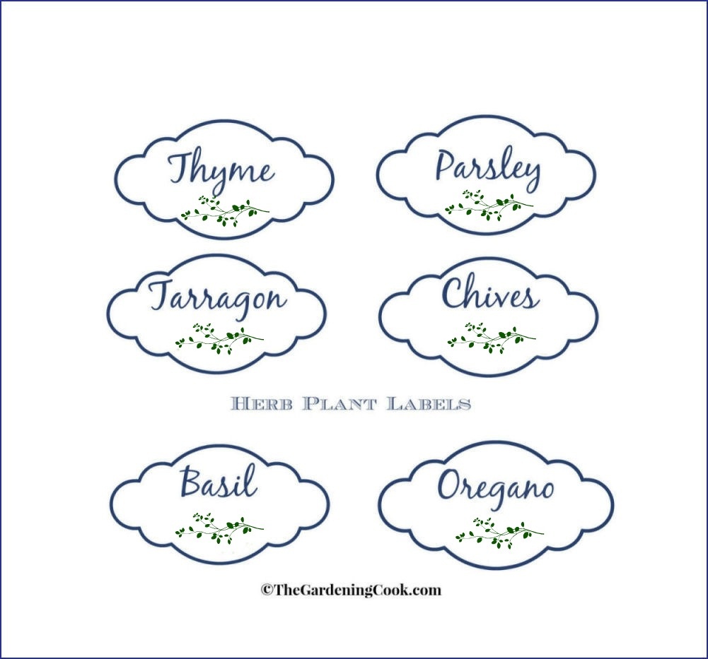 Free Herb Plant Labels For Mason Jars And Pots - Free Printable Herb Labels