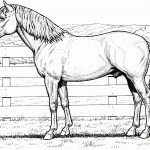 Free Horse Coloring Pages   Free Printable Realistic Horse Coloring Pages