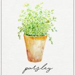 Free Kitchen Herb Wall Art Printables | The Cottage Market   Free Printable Pictures Of Herbs