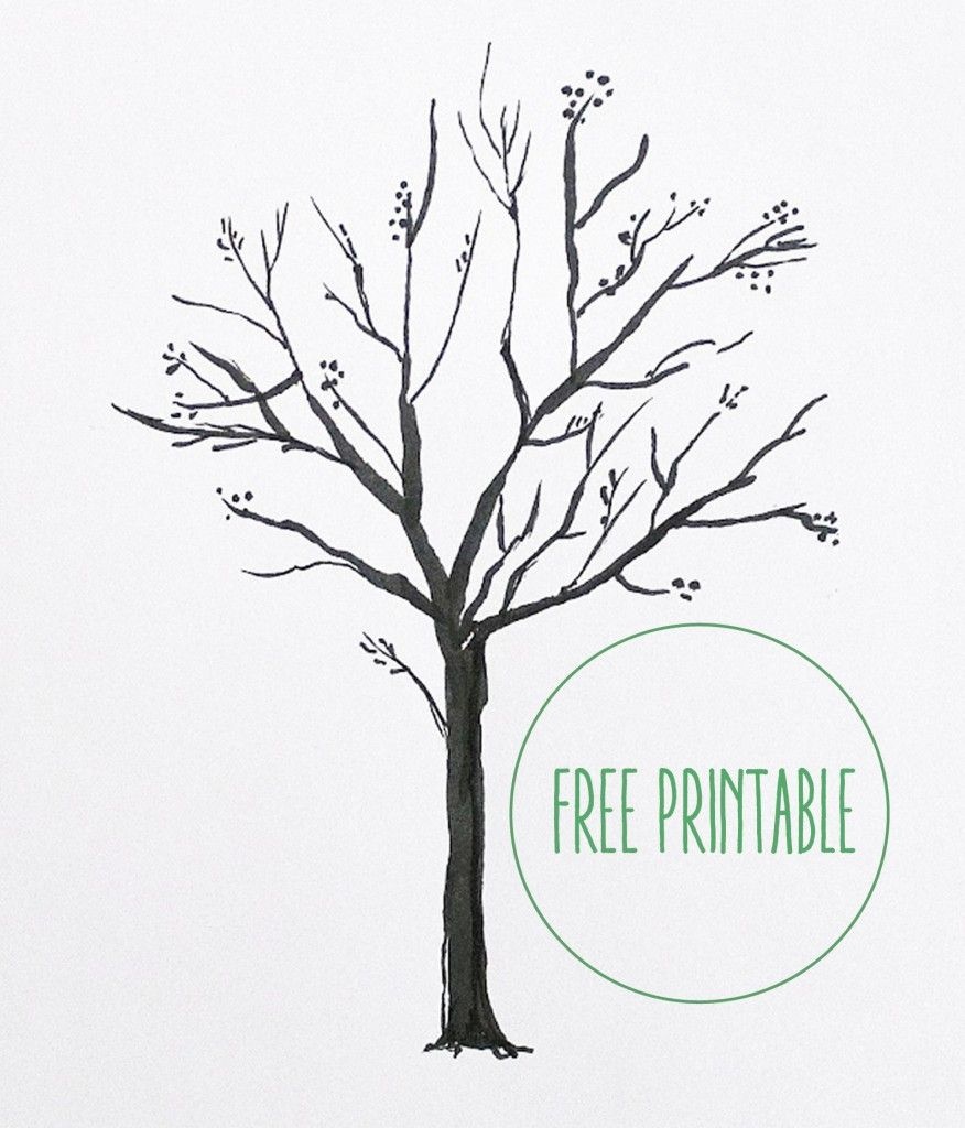 Free Printable! | Art Work | Blank Family Tree, Tree Templates, Free - Free Printable Tree Template