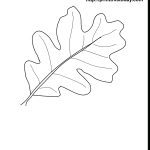 Free Printable Autumn, Fall Coloring Pages   Fall Leaves Pictures Free Printable