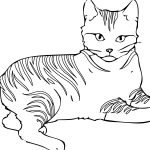 Free Printable Cat Coloring Pages For Kids   Free Printable Cat Coloring Pages