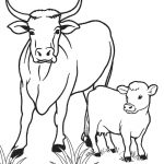 Free Printable Cow Coloring Pages For Kids | Cool2Bkids   Coloring Pages Of Cows Free Printable
