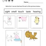 Free Printable Five Senses Worksheet For Kids   Free Printable Worksheets For Kids Science