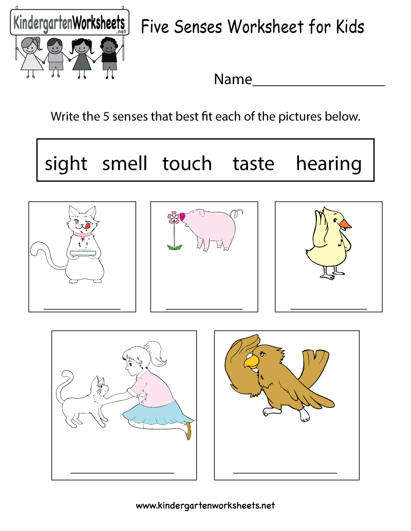 Free Printable Five Senses Worksheet For Kids - Free Printable Worksheets Kindergarten Five Senses