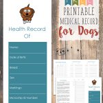 Free Printable Medical Record For Dogs | Craftiness | Whelping   Free Printable Pet Health Record