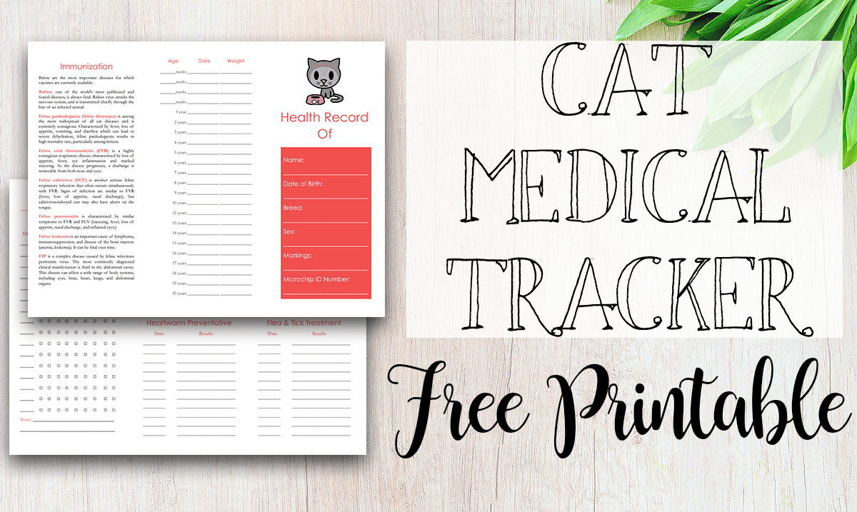 Pet Records For Dog And Cats Instruments Health Free Printable 