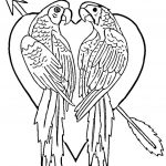 Free Printable Parrot Coloring Pages For Kids   Free Printable Parrot Coloring Pages
