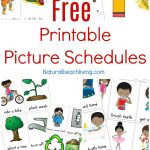 Free Printable Picture Schedule Cards   Visual Schedule Printables   Autism Picture Cards Free Printable