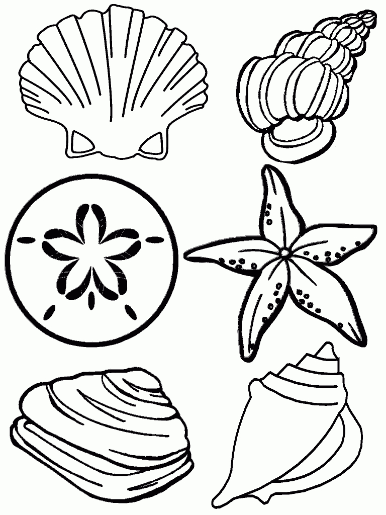 Free Printable Seashell Coloring Pages For Kids | Felt &amp;amp; Fabric - Free Printable Beach Coloring Pages