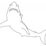 Free Printable Shark Coloring Pages For Kids | Sharks Coloring Pages   Free Printable Great White Shark Coloring Pages