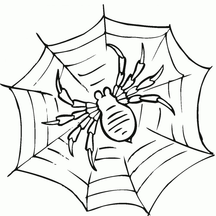 Free Printable Spider Web