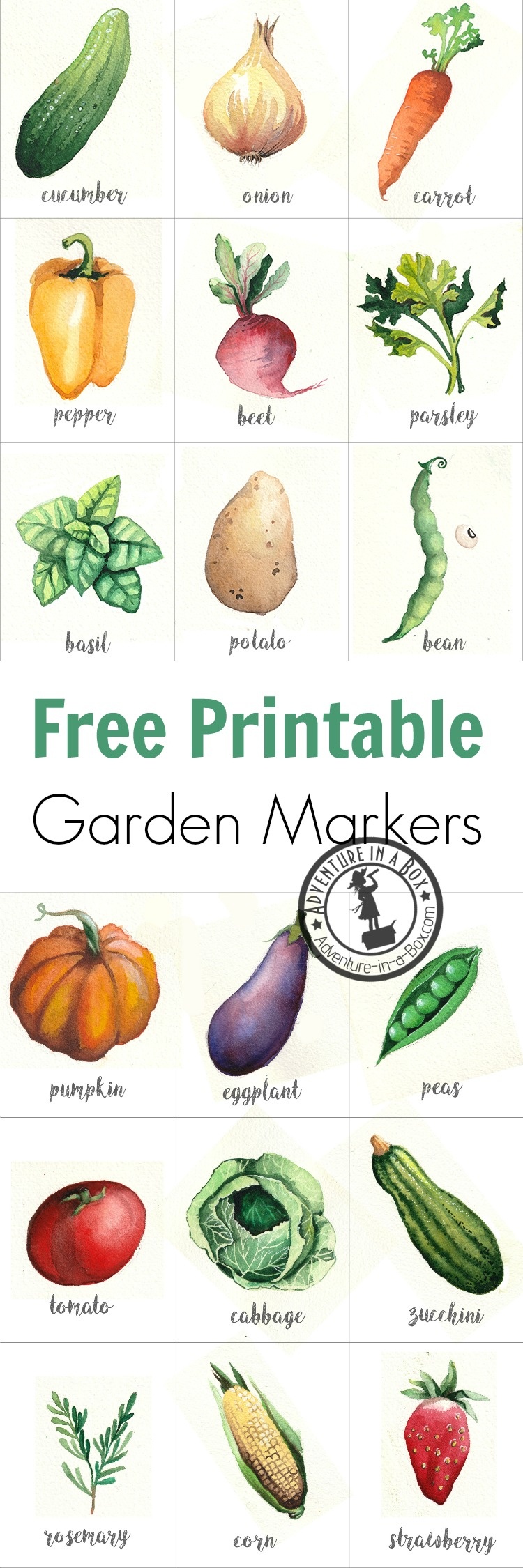Free Printable Watercolour Garden Markers | Adventure In A Box - Free Printable Plant Labels