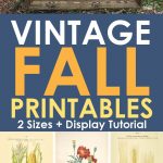 Free Vintage Printables For Fall   Free Vintage Printables