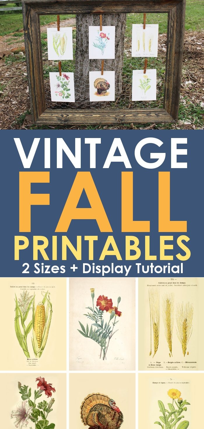 Free Vintage Printables For Fall - Free Vintage Printables