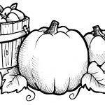 Harvest Coloring Pages   Best Coloring Pages For Kids   Free Printable Fall Harvest Coloring Pages