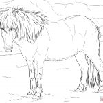 Horses Coloring Pages | Free Coloring Pages   Free Printable Realistic Horse Coloring Pages