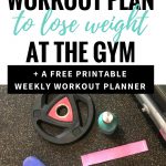How To Make Your Own Workout Plan [Printable] — The Mermaid With   Free Printable Gym Workout Plans