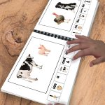 I See Animals 36 Book Set (Printable Pdf) Emergent Readers +   Free Adapted Books Printable