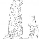 It's Groundhog Day! Coloring Page | Free Printable Coloring Pages   Groundhog Day Coloring Pages Free Printable