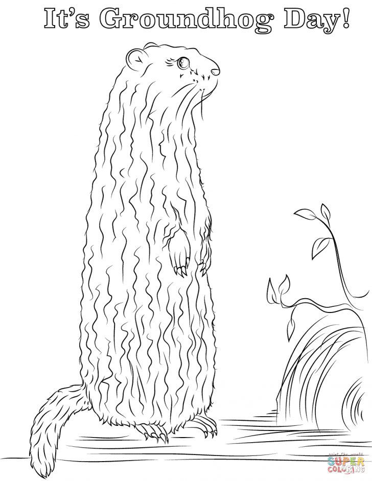 Groundhog Day Coloring Pages Free Printable