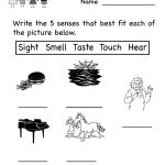 Kindergarten Five Senses Worksheet For Kids Printable | Worksheets   Free Printable Worksheets Kindergarten Five Senses