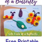 Life Cycle Of A Butterfly Playdough Mat   Free Printable   Views   Free Printable Playdough Mats