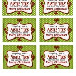 Mistle"toes" Gift Idea   Pink Polka Dot Creations   Free Printable Mistletoe Tags