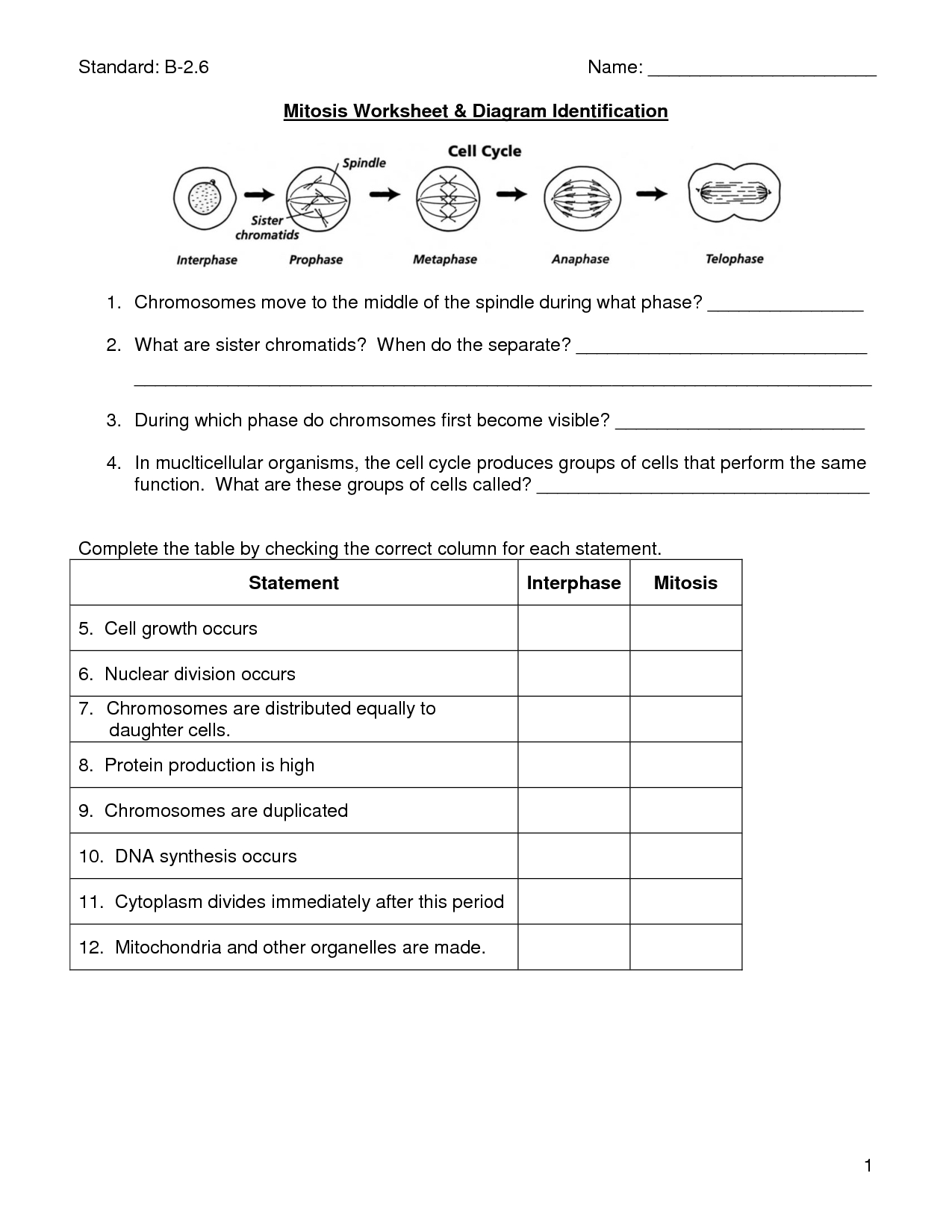 Mitosis Worksheet | Cells, Photosynthesis, Mitosis | Biology - Free Printable Biology Worksheets For High School