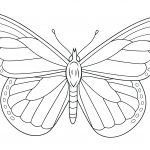 Monarch Butterfly Coloring Page | Free Printable Coloring Pages   Free Printable Butterfly