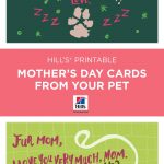 Mother's Day | Things We Love | Dog Mom, Mothers Day Cards, Dogs   Free Printable Mothers Day Cards From The Dog