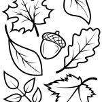 New Leaf Pictures To Color Fall Leaves And Acorn Coloring Page Free   Acorn Template Free Printable