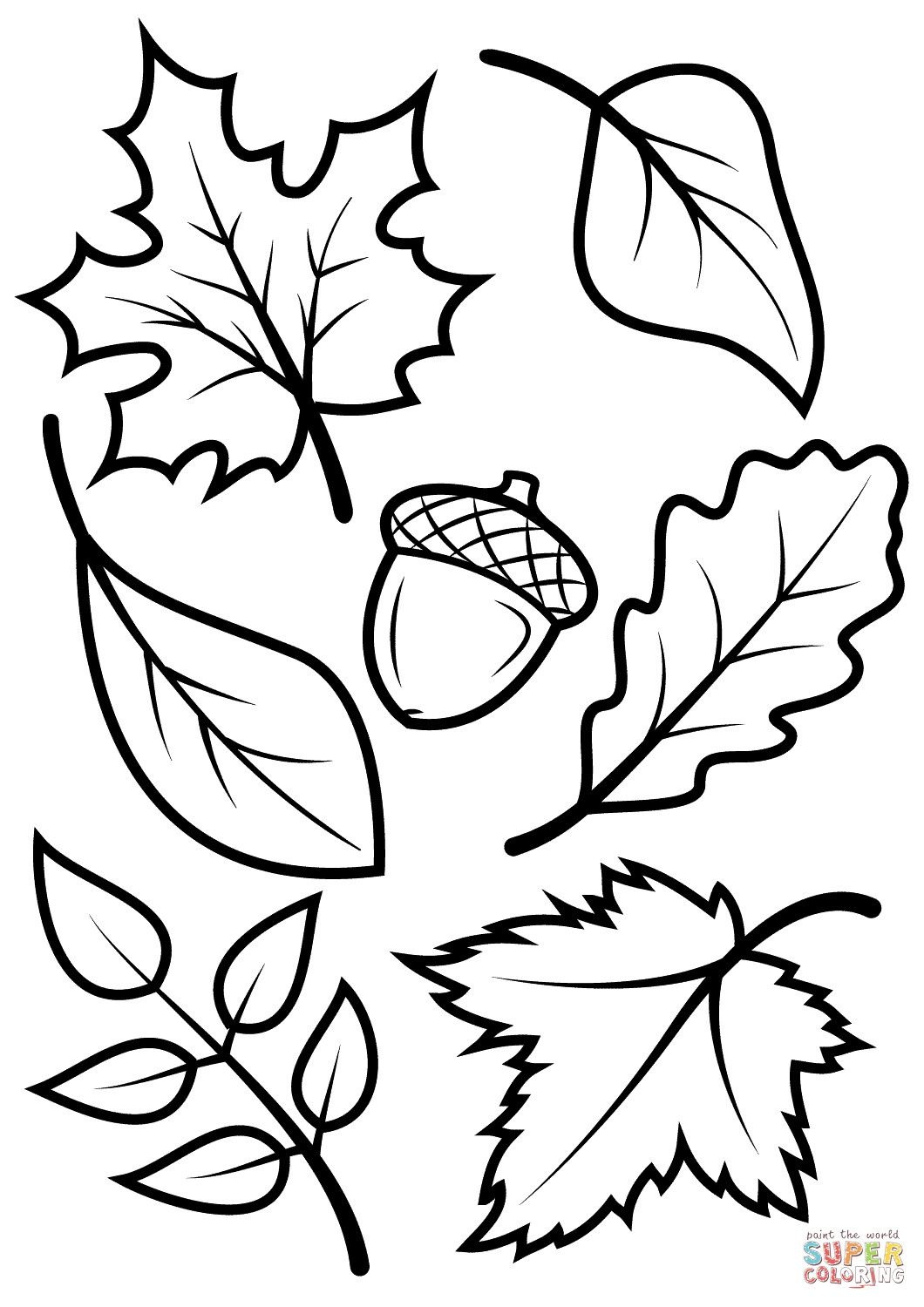 New Leaf Pictures To Color Fall Leaves And Acorn Coloring Page Free - Acorn Template Free Printable