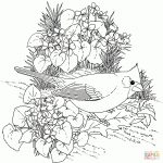 Northern Cardinal And Violet Illinois Bird And Flower Coloring Page   Free Printable Pictures Of Cardinals