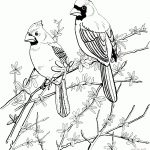 Northern Cardinal Coloring Pages | Supercoloring | Gourds | Bird   Free Printable Pictures Of Cardinals