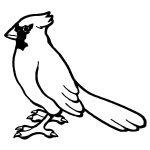 Nothern Cardinal Bird Coloring Page | Free Printable Coloring Pages   Free Printable Pictures Of Cardinals