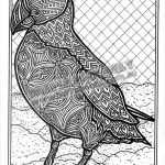 Outlines Of Australian Animals   Kaza.psstech.co   Free Printable Arty Animal Outlines
