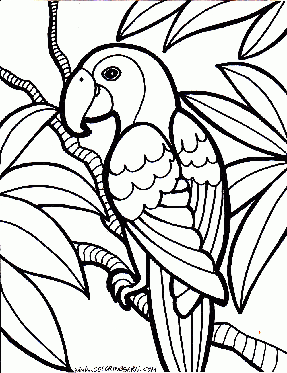 Parrot Coloring Pages | Cinderella | Jungle Coloring Pages, Bird - Free Printable Parrot Coloring Pages