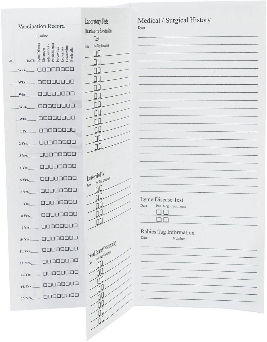 Pet Records For Dog And Cats - Instruments | Health - Free Printable Pet Health Record