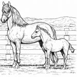 Pin De Julia En Colorings | Horse Coloring Pages, Coloring Pages Y   Free Printable Realistic Horse Coloring Pages