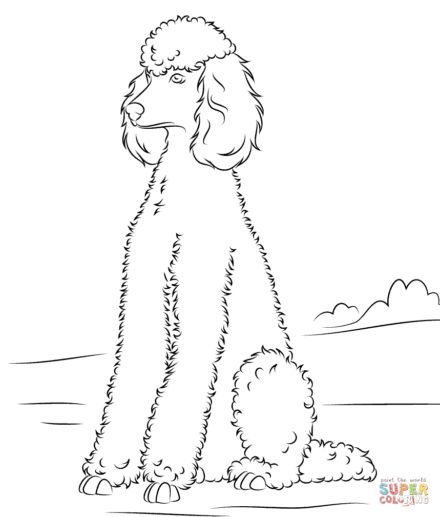 Poodle | Super Coloring | Dog Patterns | Dog Coloring Page, Poodle - Free Printable Poodle Template