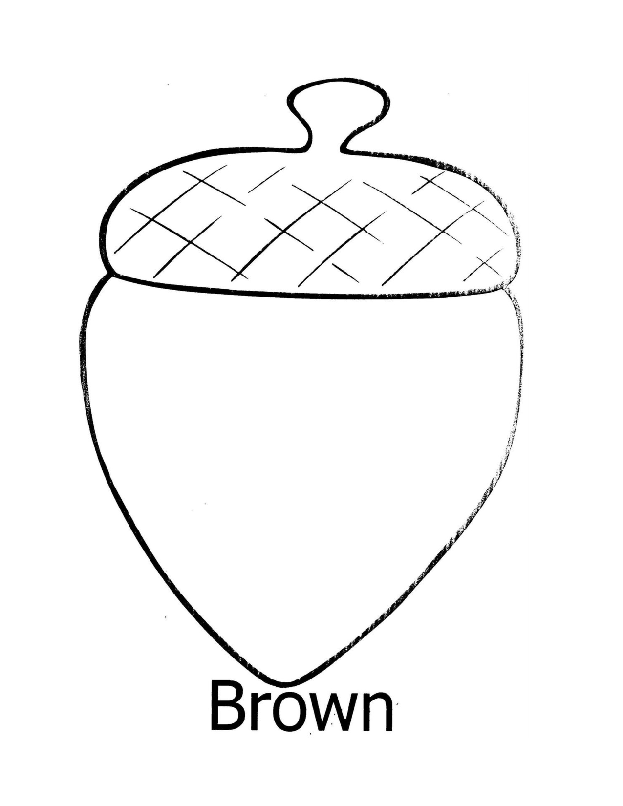 Printable Acorn Template Coloring Page Acorn Template Free