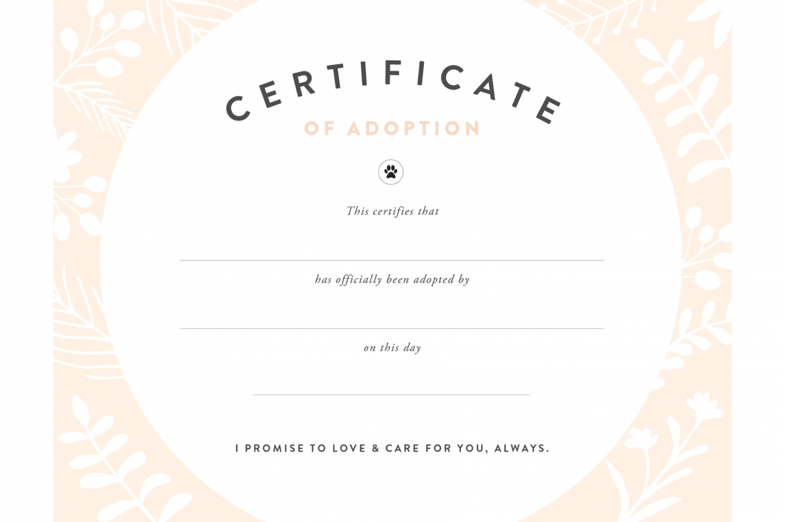 Pretty Fluffy - Free Printable Adoption Certificate